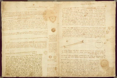 Eine Seite aus dem Codex Leicester, 1508-12